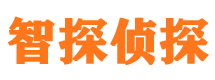 陇县侦探公司